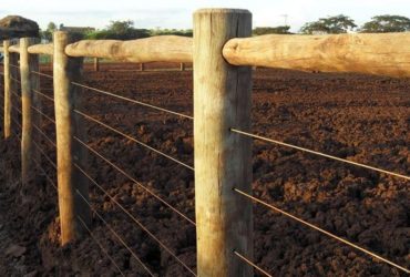 Madeira para Cerca de Eucalipto Tratado